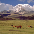 Ecuador Mainland Tours